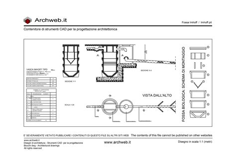 Schema di stoccaggio corretto per la polvere di fragole: luogo fresco, asciutto e contenitore ermetico