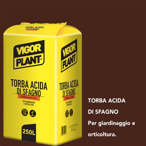 rappresentazione microscopica della struttura di una fibra di torba acida di sfagno