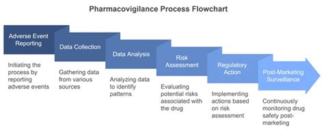 Diagram of pharmacovigilance process