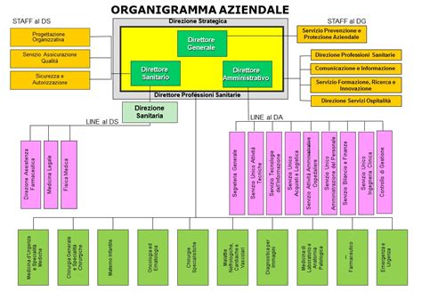 Organigramma azienda ospedaliera