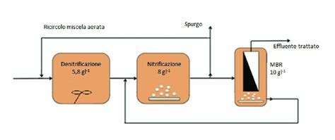 schema del trattamento ipotermico neonatale