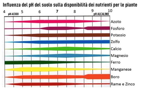 Schema illustrativo dei nutrienti NPK per le piante