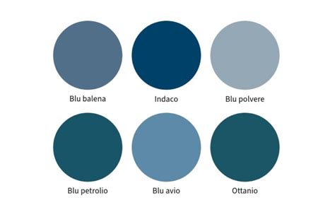 Balena blu che scopre una farfalla multicolore