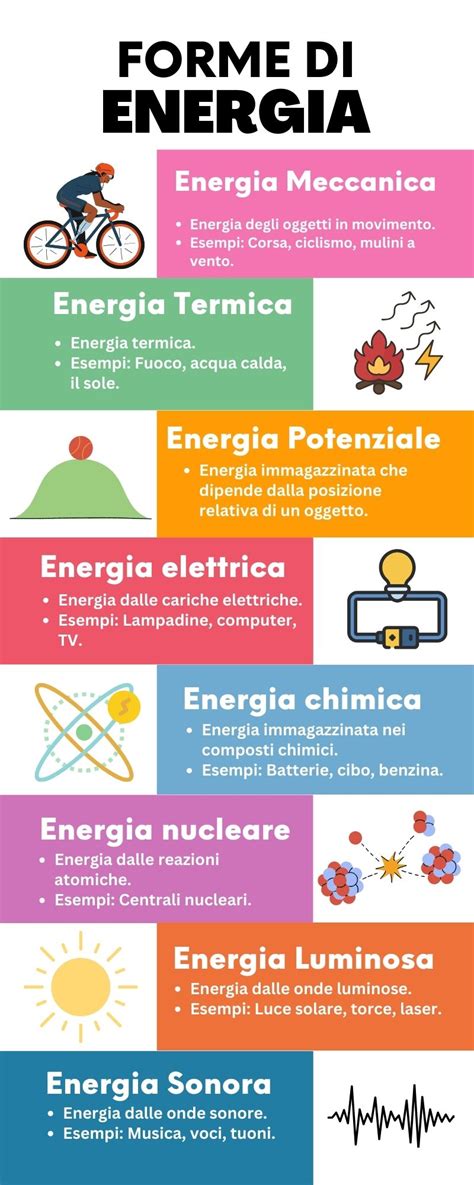 infografica comparativa sulle diverse forme dei ciucci: anatomico, a ciliegia e a goccia