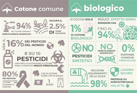 infografica che mostra la differenza tra cotone comune e cotone pettinato 300 TC