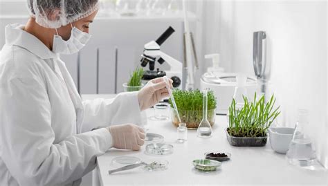 Rappresentazione di un laboratorio di ricerca con erbe