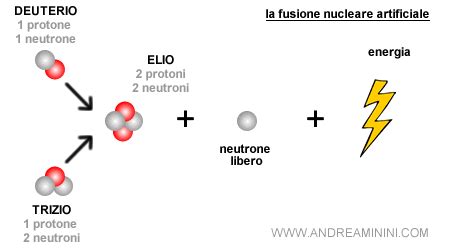 schema del processo di fusione dei pronuclei