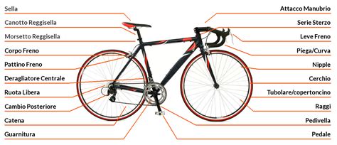 Illustrazioni di varie parti di una bicicletta