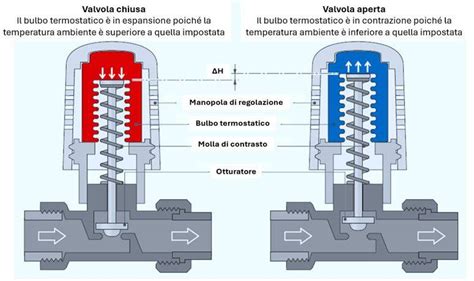 Schema di un biberon con valvola di controllo