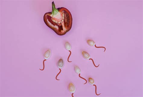 Panoramica sulla Fertilità e l'Impianto