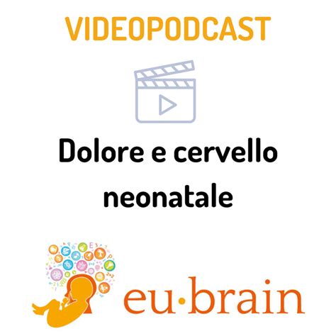 Ricerca scientifica e cervello neonatale