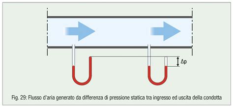 Dinamica di branco tra cani