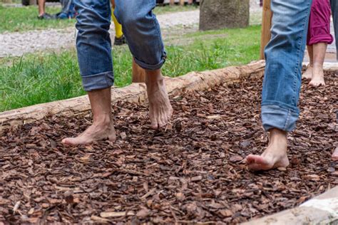 Bambini che esplorano un percorso sensoriale a piedi nudi
