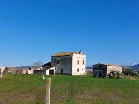 rappresentazione stilizzata di un paesaggio rurale del Sud Italia con elementi della cultura contadina