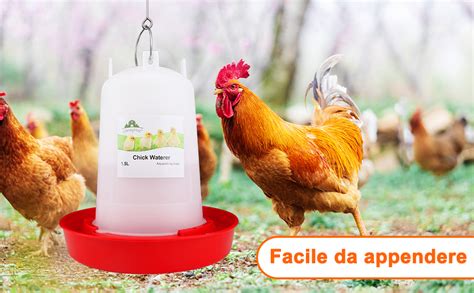 Abbeveratoio per galline isolato contro il gelo