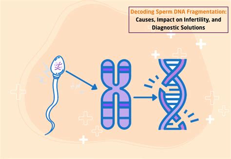 Chart showing increased pregnancy rates with DNA fragmentation testing