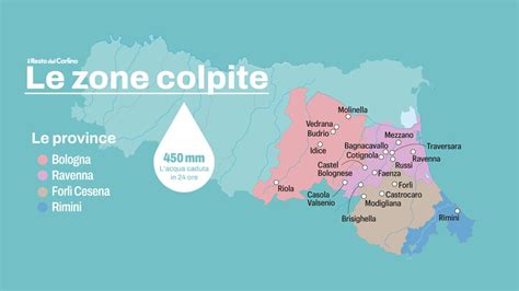 mappa delle zone del corpo colpite da tinea