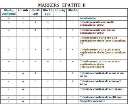 schema interpretazione marcatori sierologici epatite B
