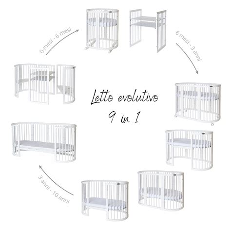 Schema illustrativo delle trasformazioni di una culla evolutiva