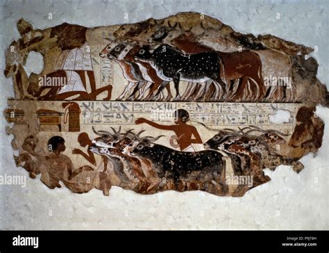 Affresco tomba Nebamun