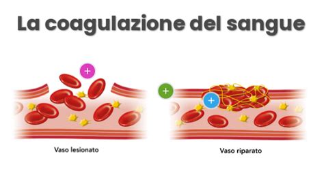 Coagulazione del sangue