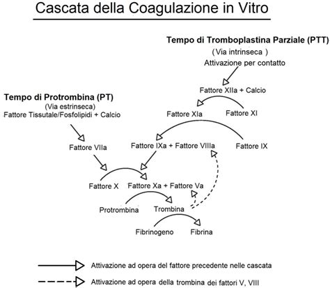 Geni della coagulazione