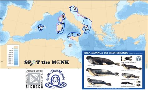mappa storica distribuzione foca monaca