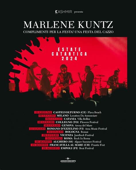 Concerto dei Marlene Kuntz dal vivo in un club europeo