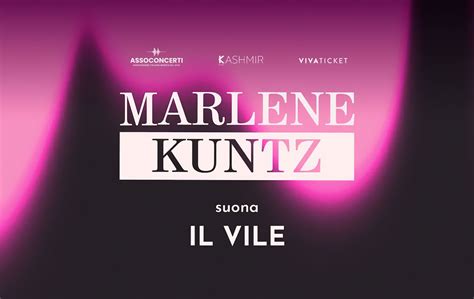 Rappresentazione grafica dell'evoluzione sonora dei Marlene Kuntz, dal rumore post-punk al cantautorato moderno