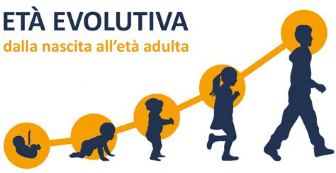 Rappresentazione grafica delle tappe evolutive dall'infanzia all'età adulta