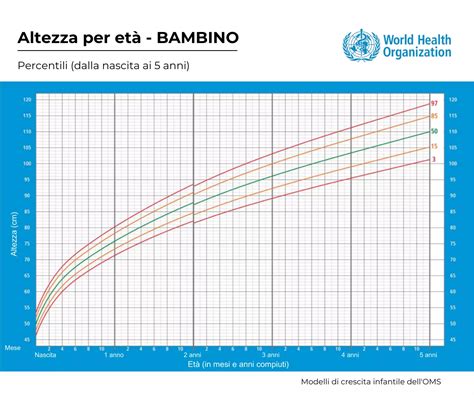 Tipi di bavaglini per diverse fasi di crescita del bambino